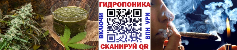 Canna-Cookies конопля  KRAKEN онион  Краснотурьинск 