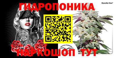 спайс Кандалакша