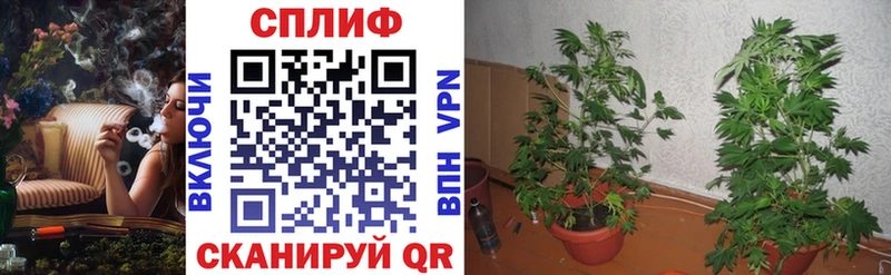 как найти наркотики  Краснотурьинск  МАРИХУАНА тримм 